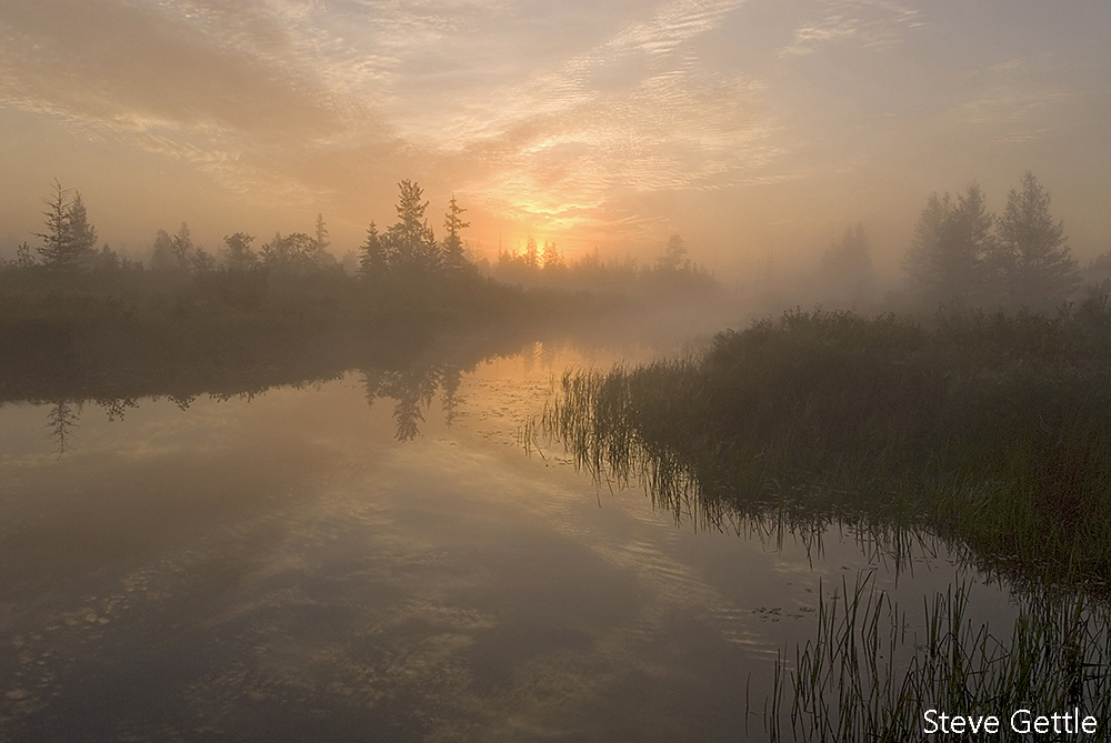 First Light
