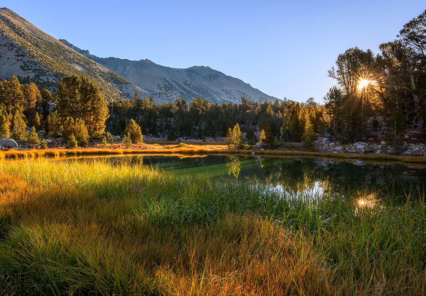 Tarn and Grasses 