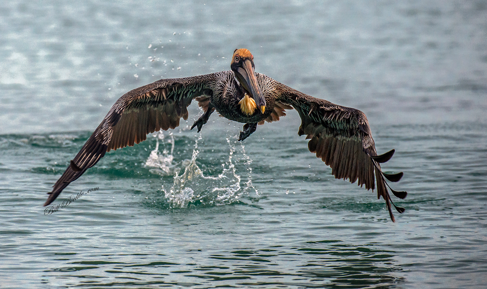 Early Morning Takeoff 