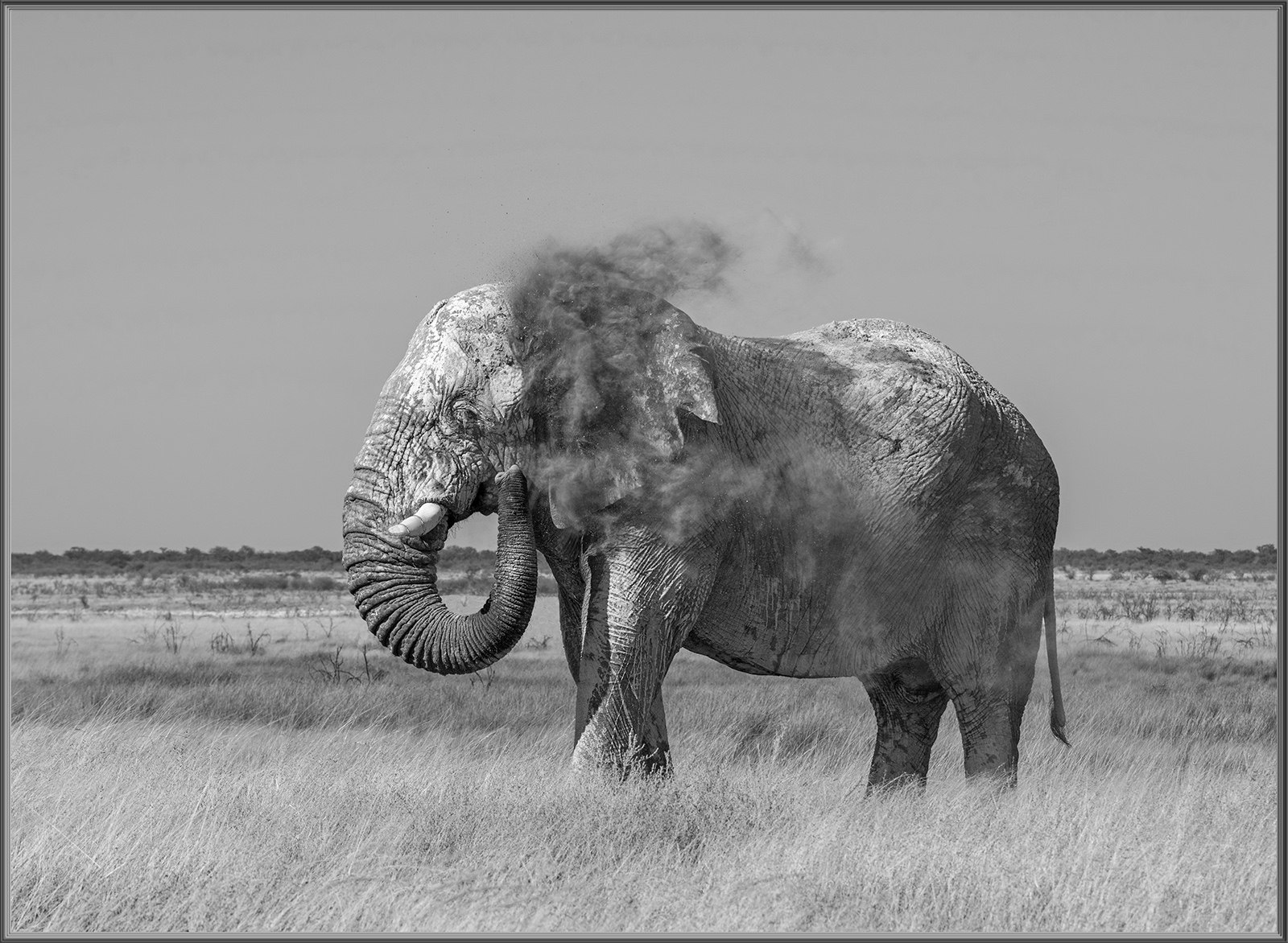 Dust Bath 