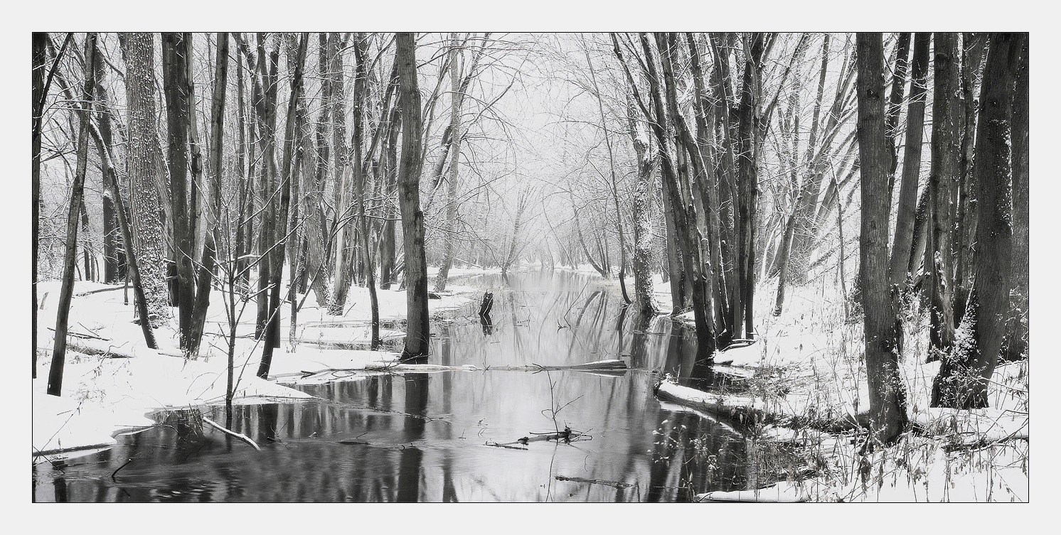 The Quiet Winter