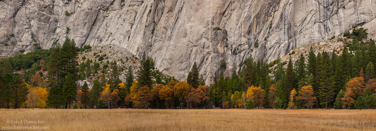 Leidig Meadow