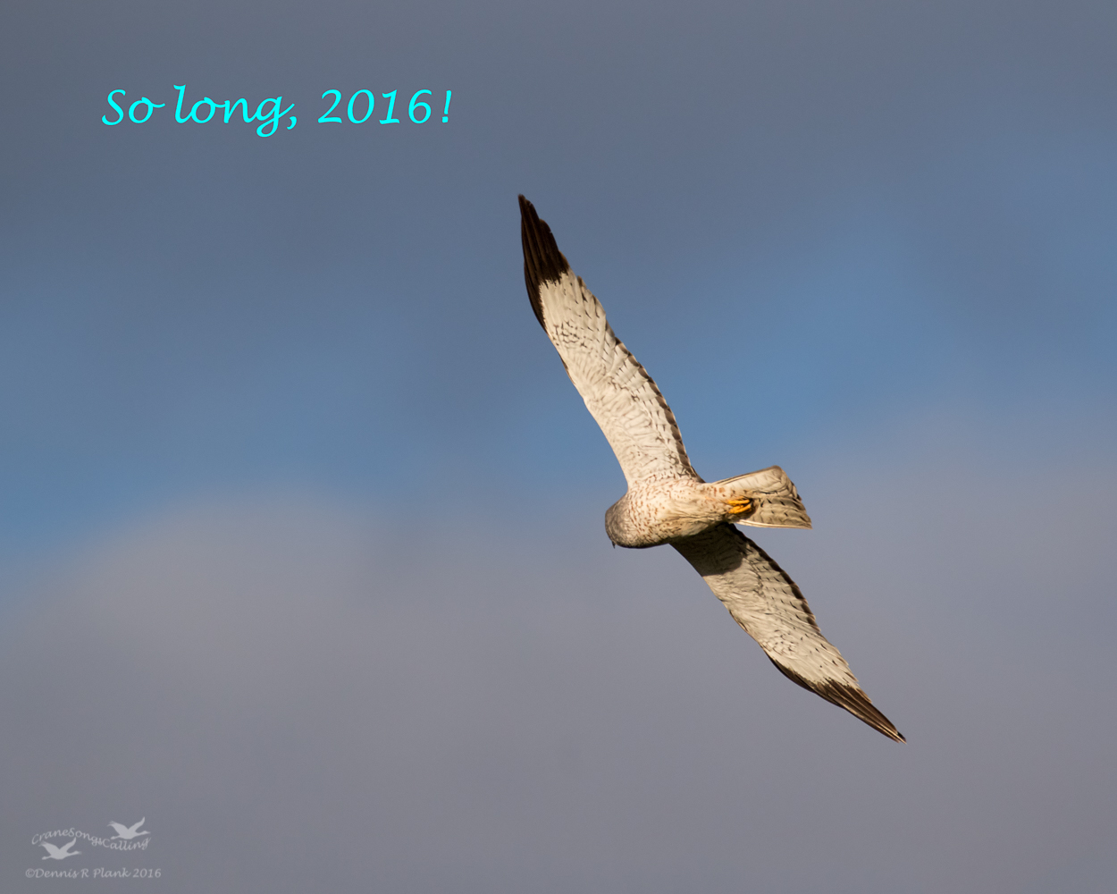 End of Year