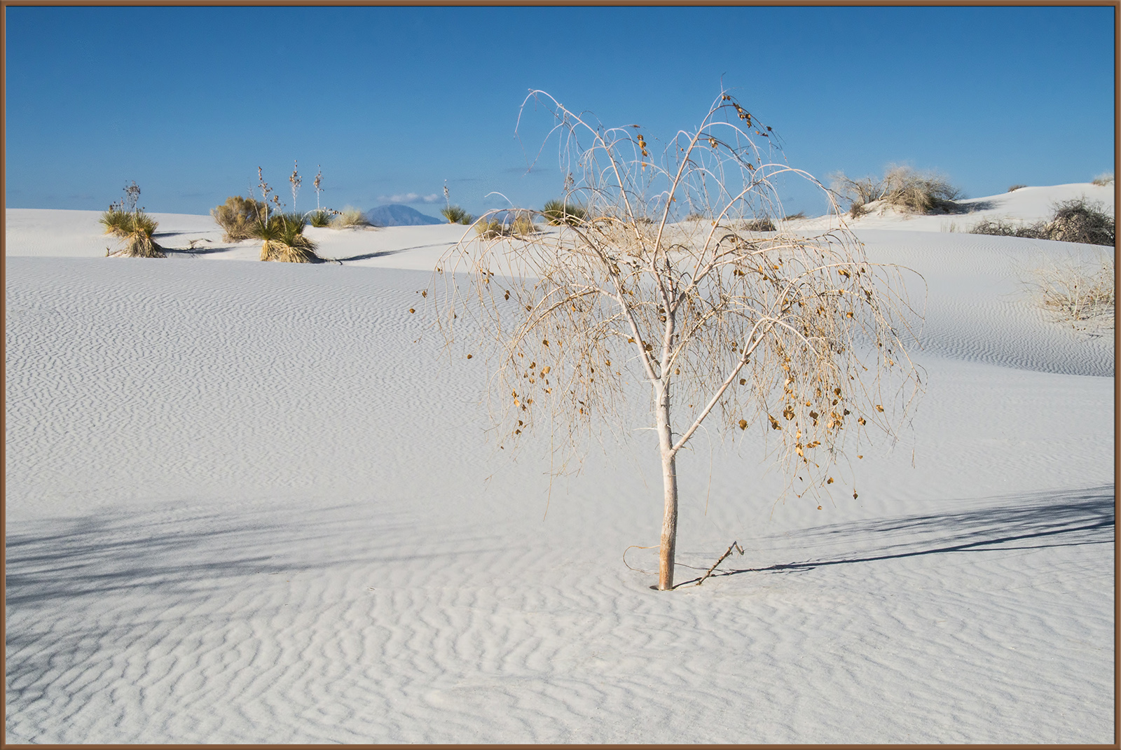 WC#768 - Diagonal Lines