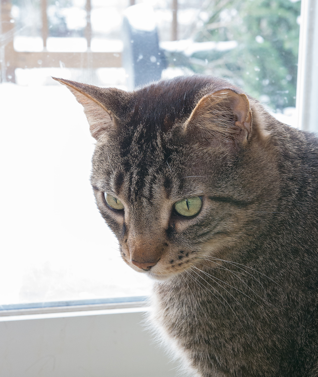 I want to go out!