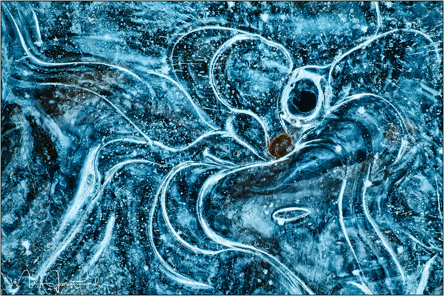 The Black Hole
