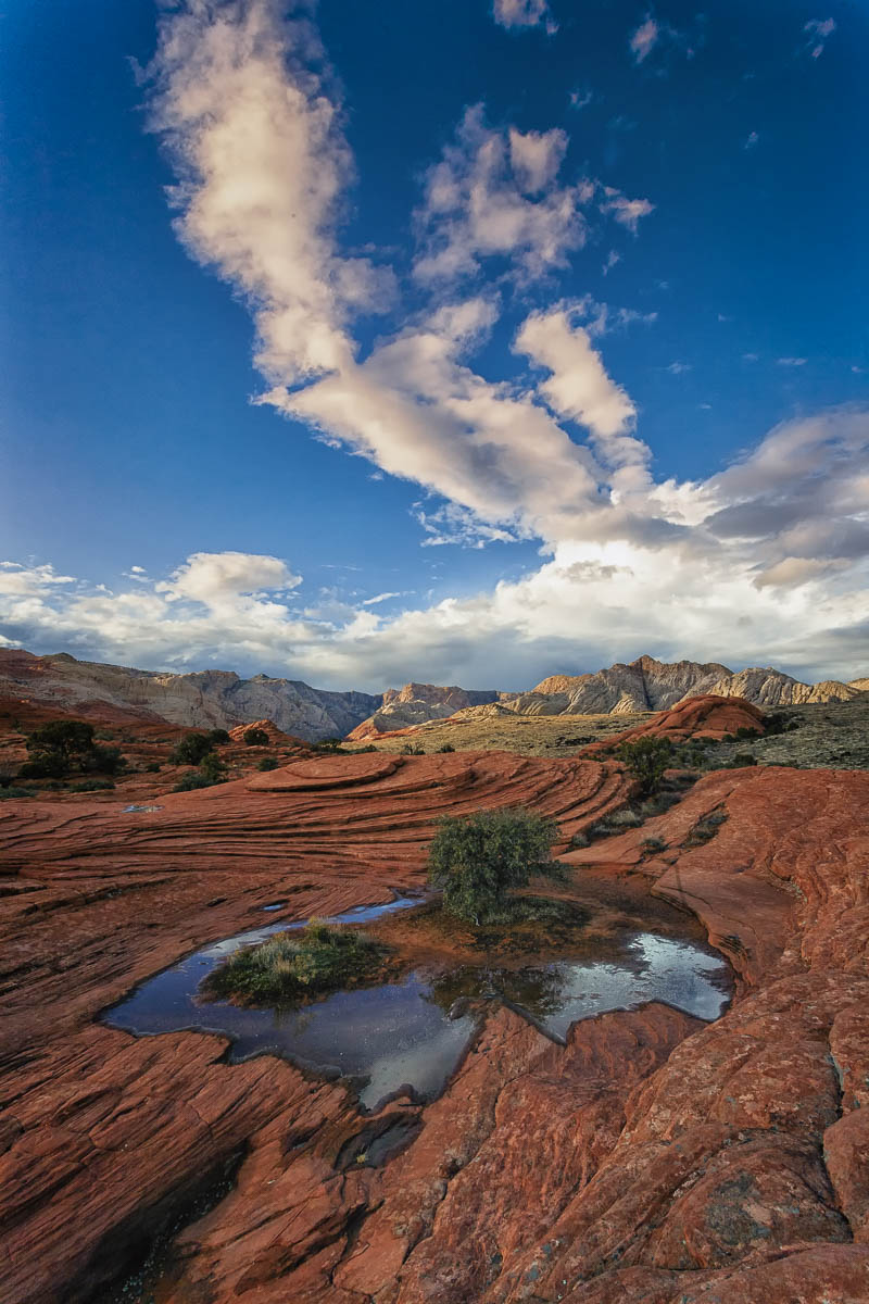 Snow Canyon State Park 