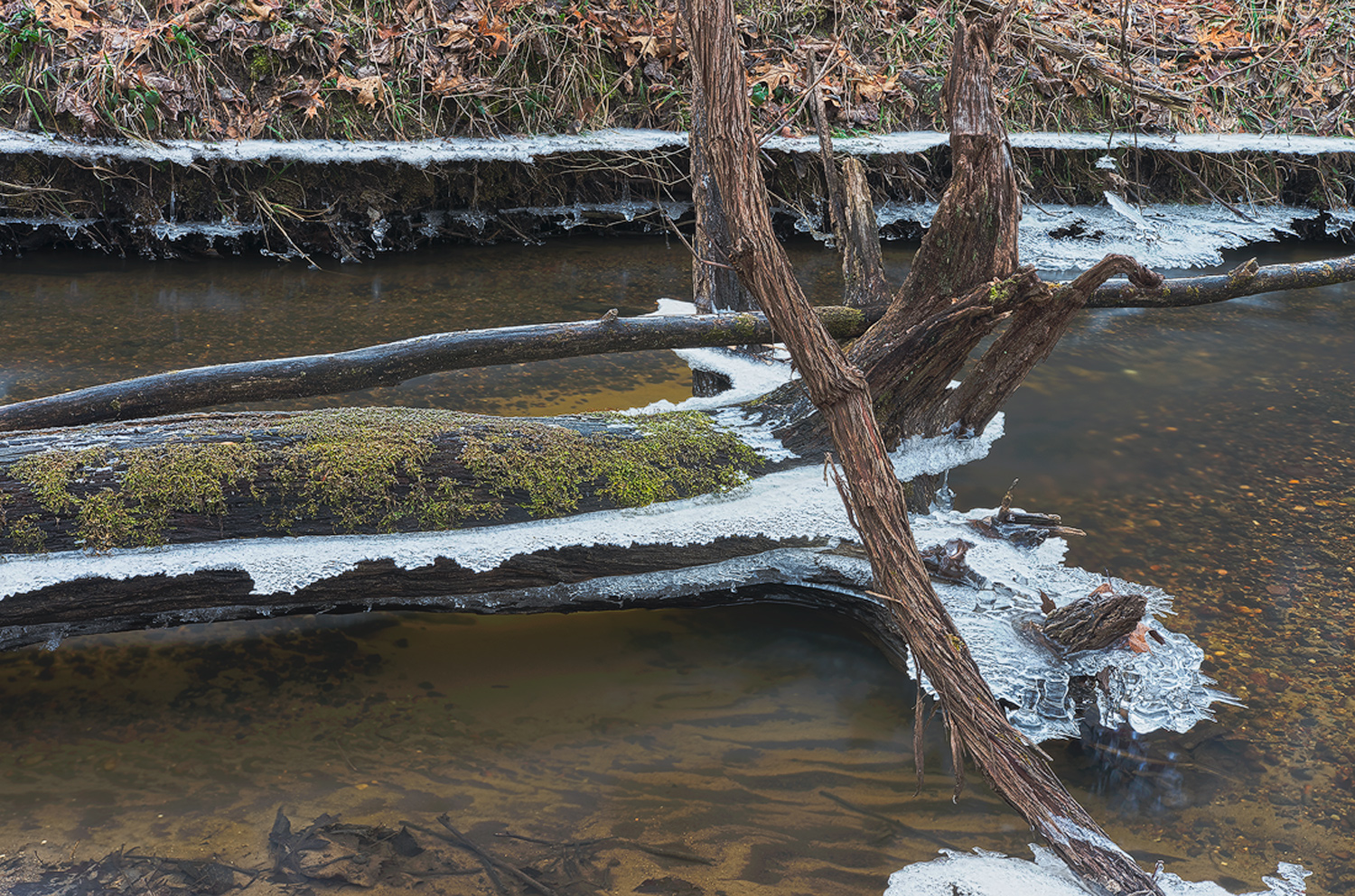 Mary Rizor Preserve WC