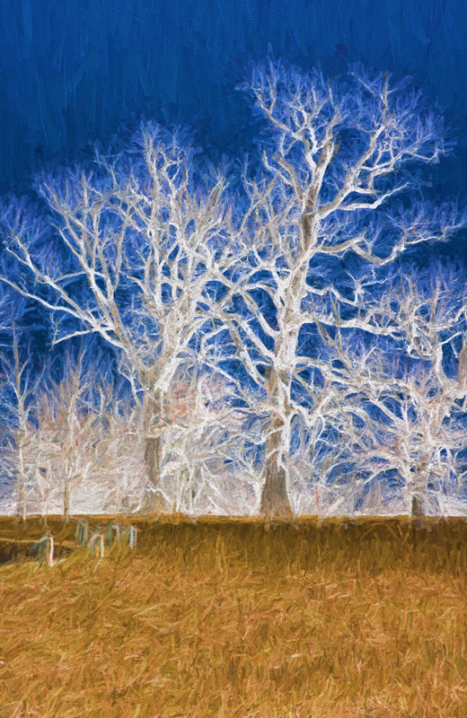 Electric Trees