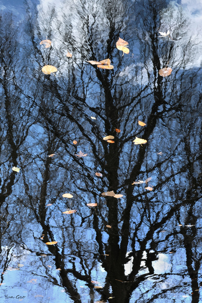 Reflections + repost
