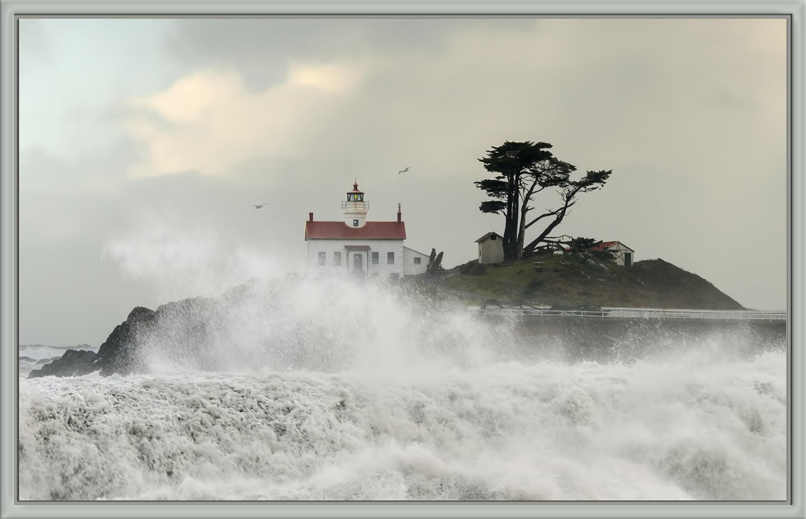 The Raging Pacific 