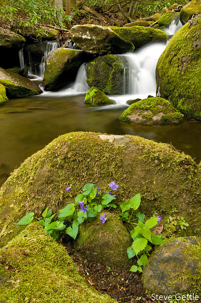 Smokies Cascade