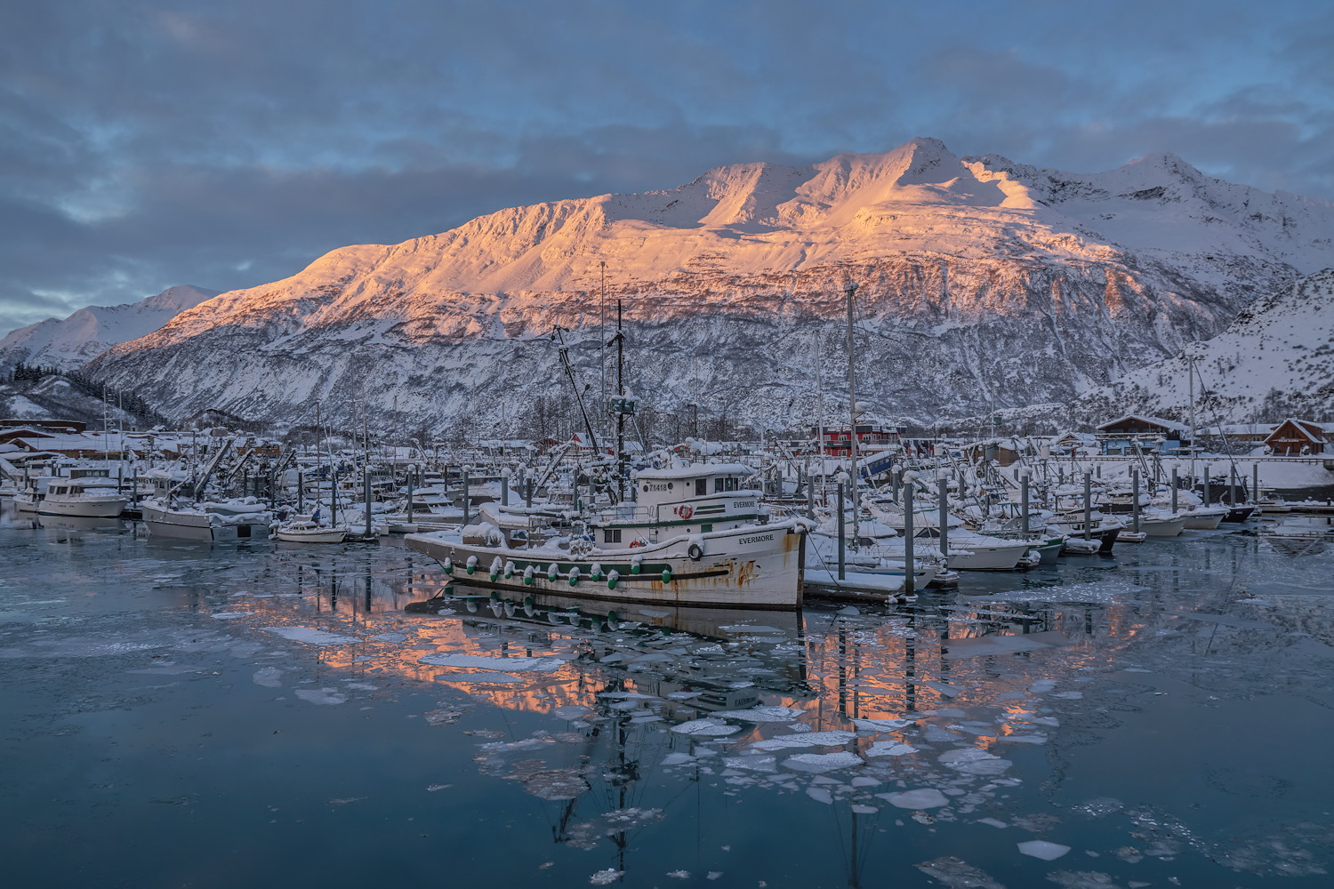 Harbor Backlight - 1510