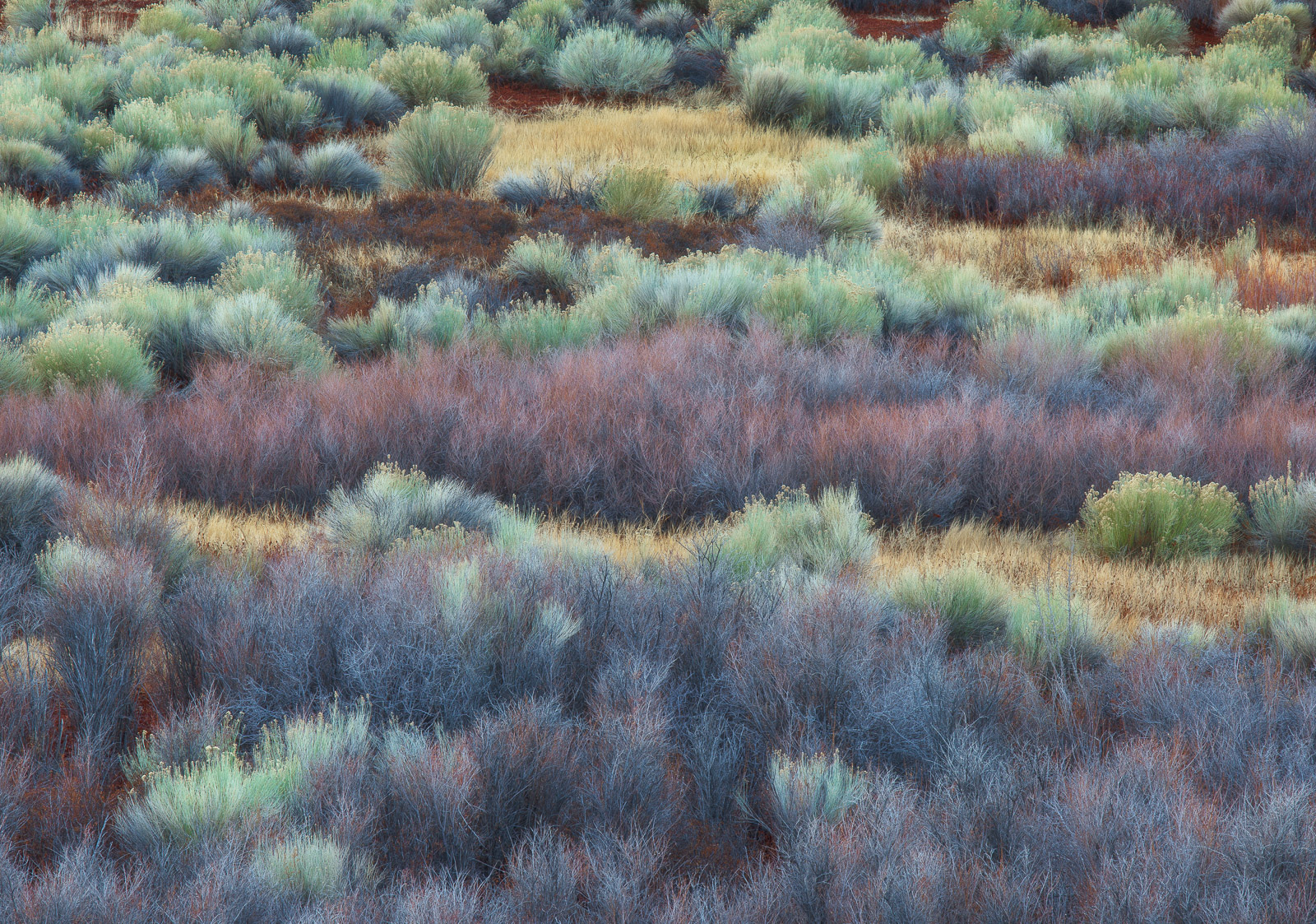 High Desert Weave 