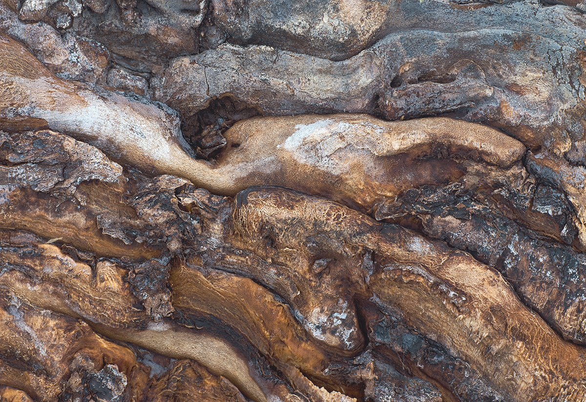Firewood & RePost