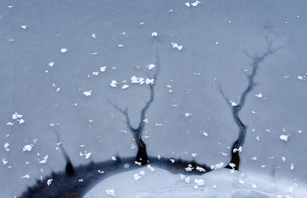 Imaginary Winter