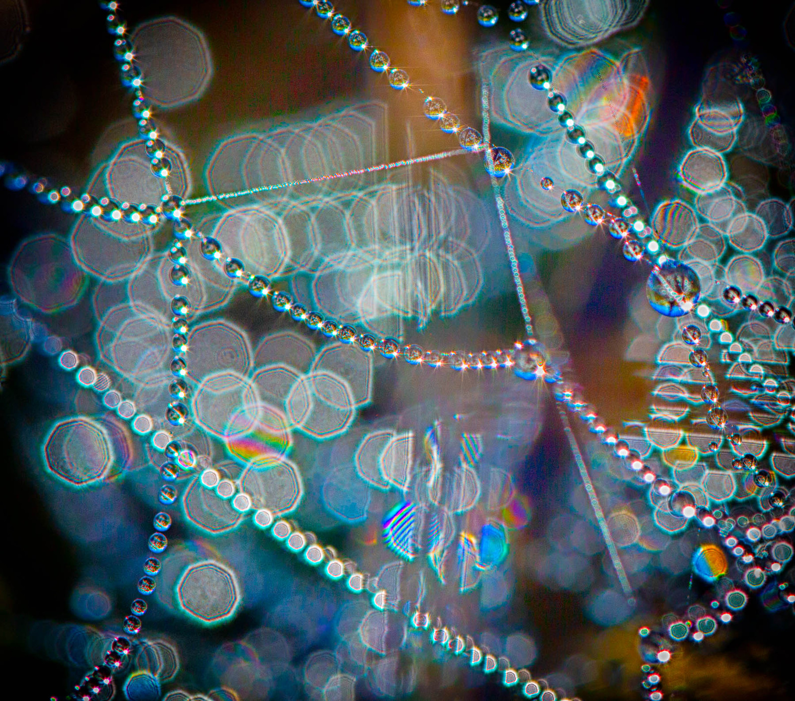 Web Abstract