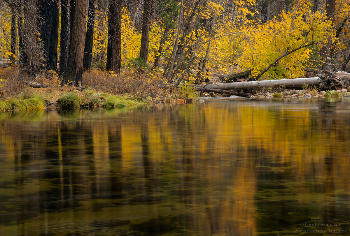 Fall on the Merced