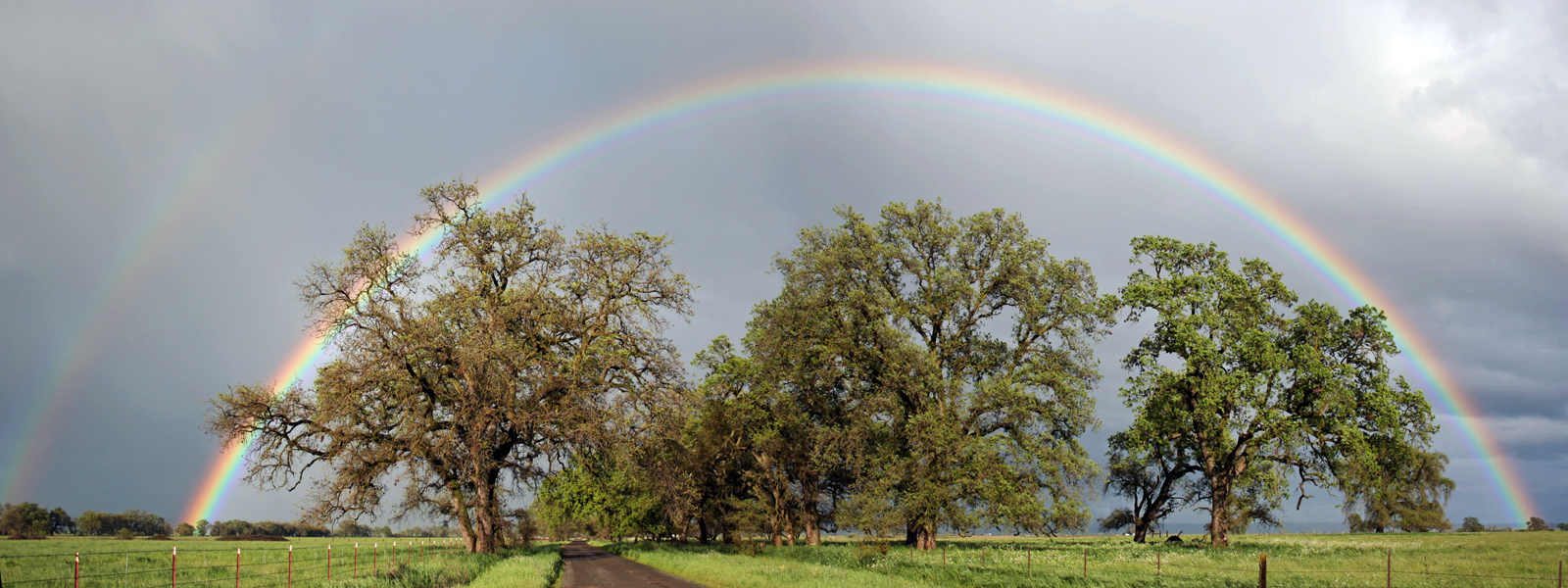 Rainbow Road