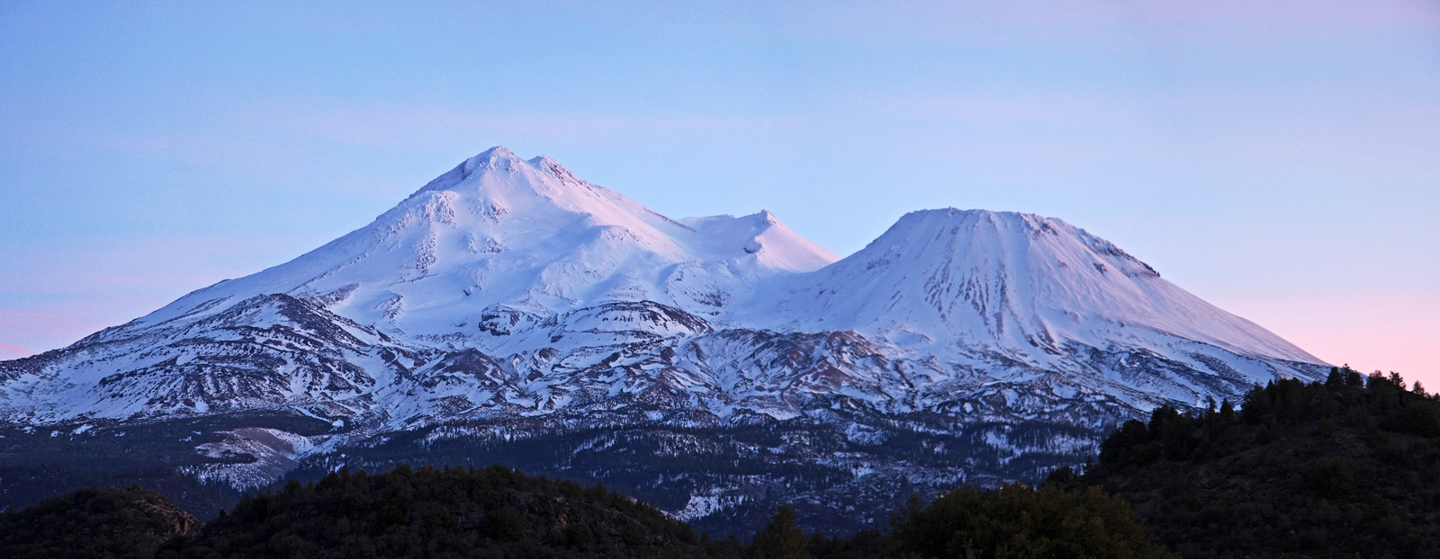 Shasta Alpenlight