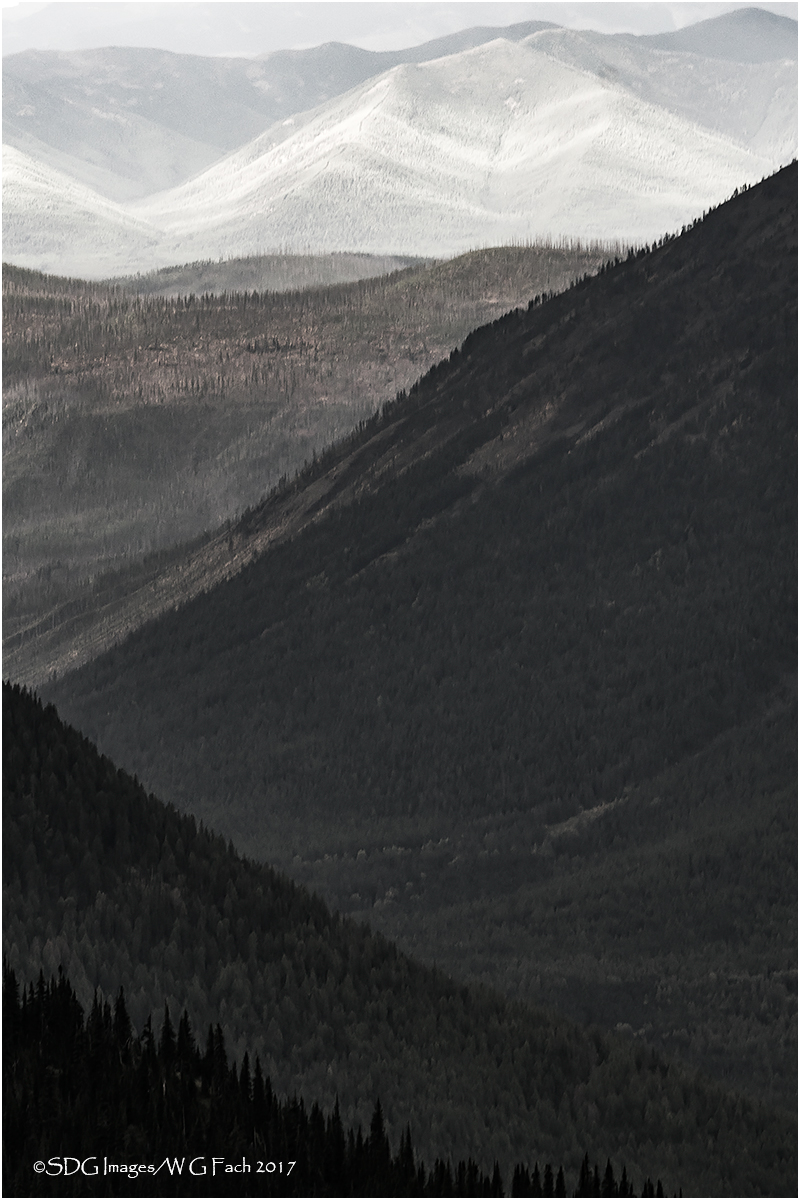 Long View 3