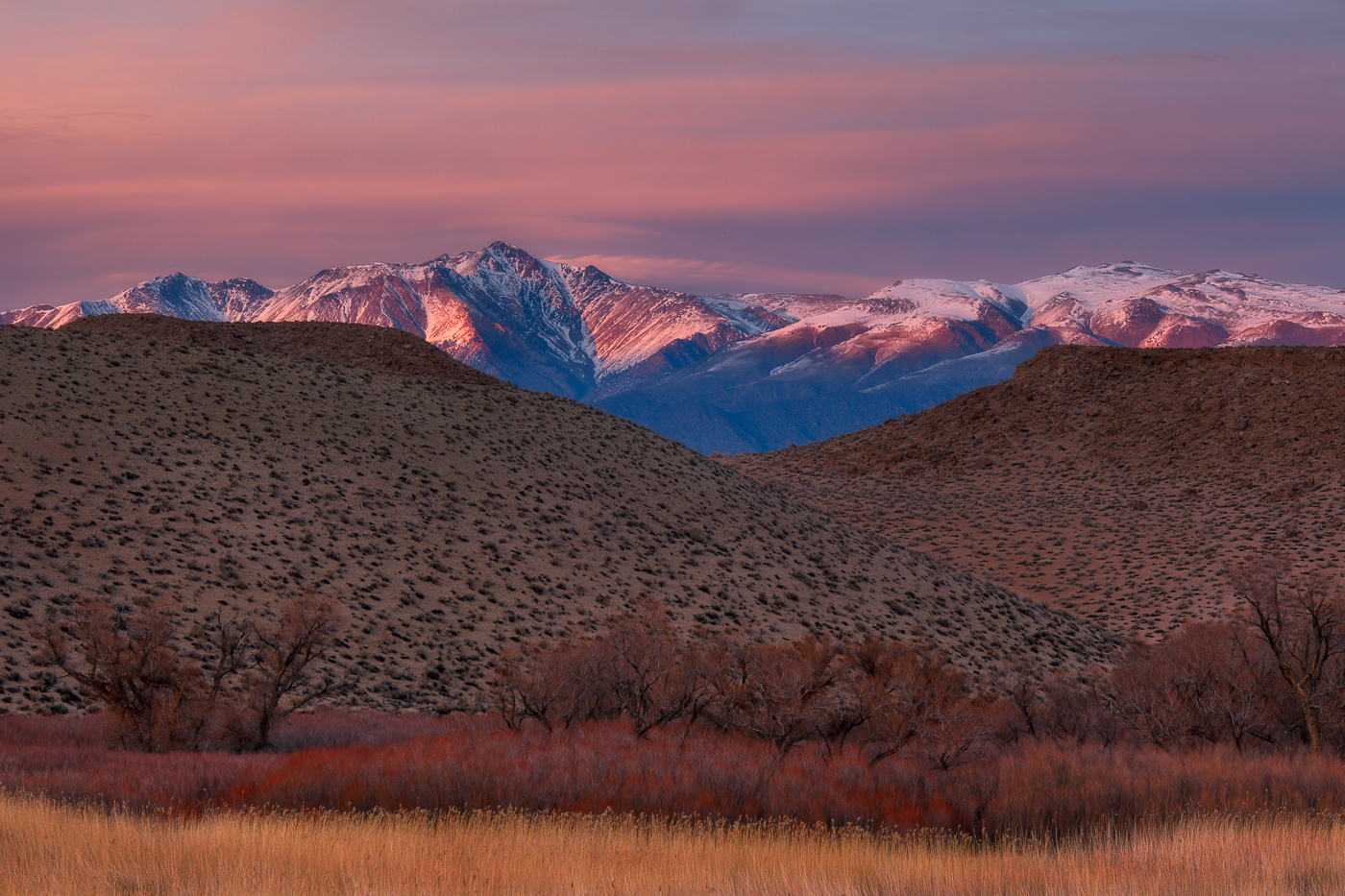 White Mountain Blush