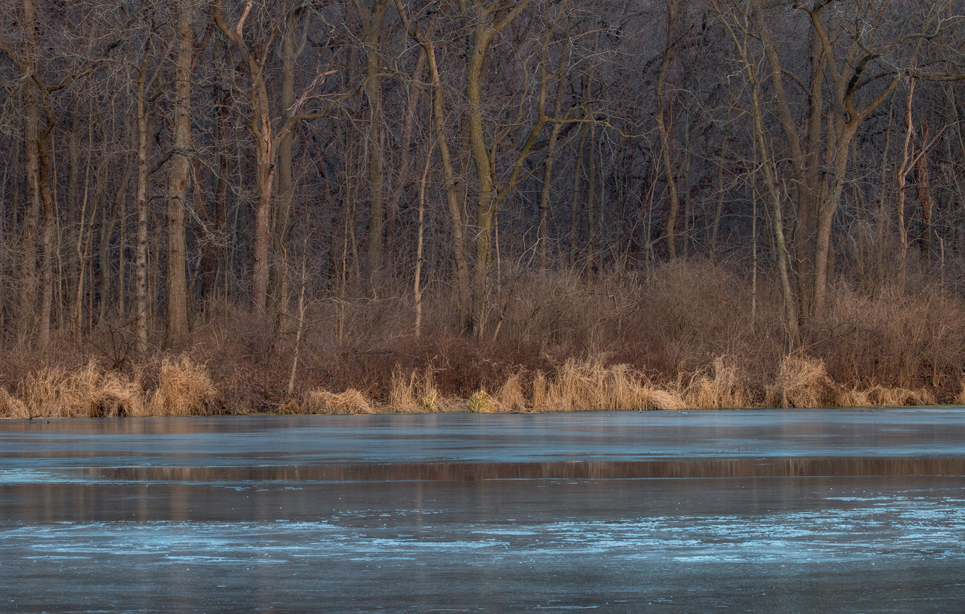 Winter's Peace