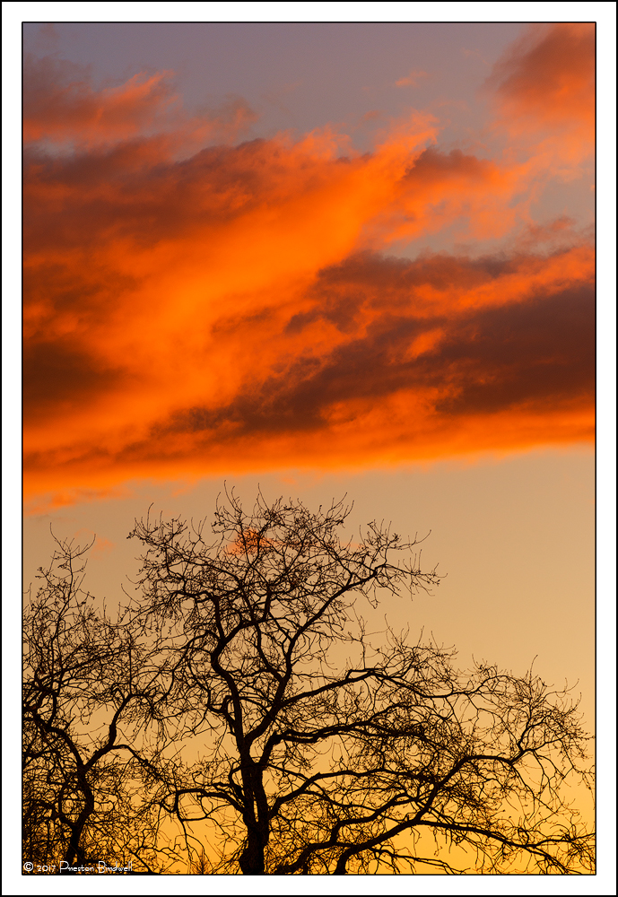 Columbia Sunset