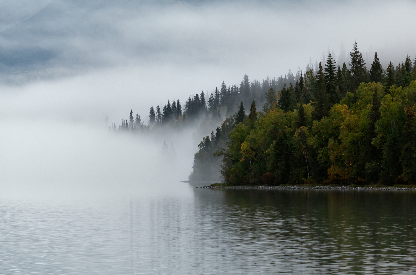 Disappearing in Fog