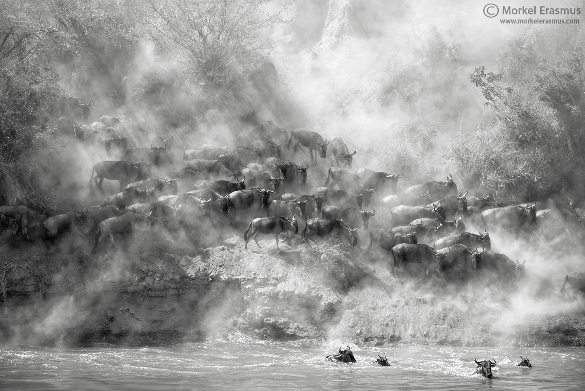 Chaos at the River