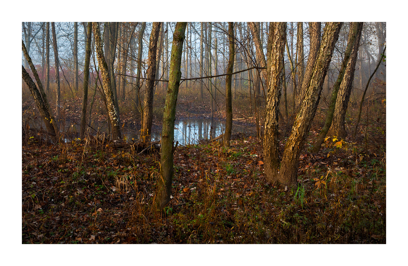 Last November