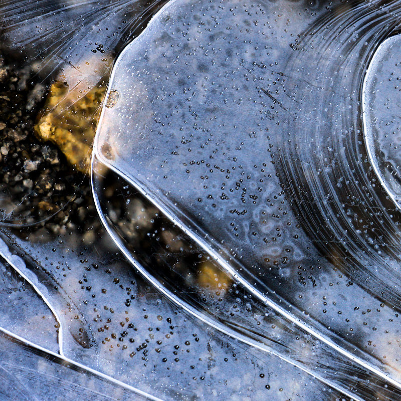 Icy Puddle