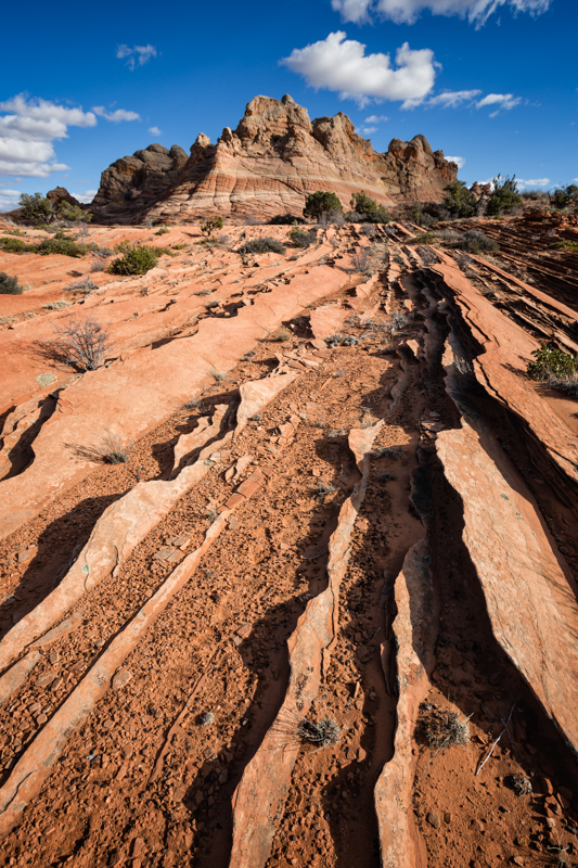 Coyote Buttes