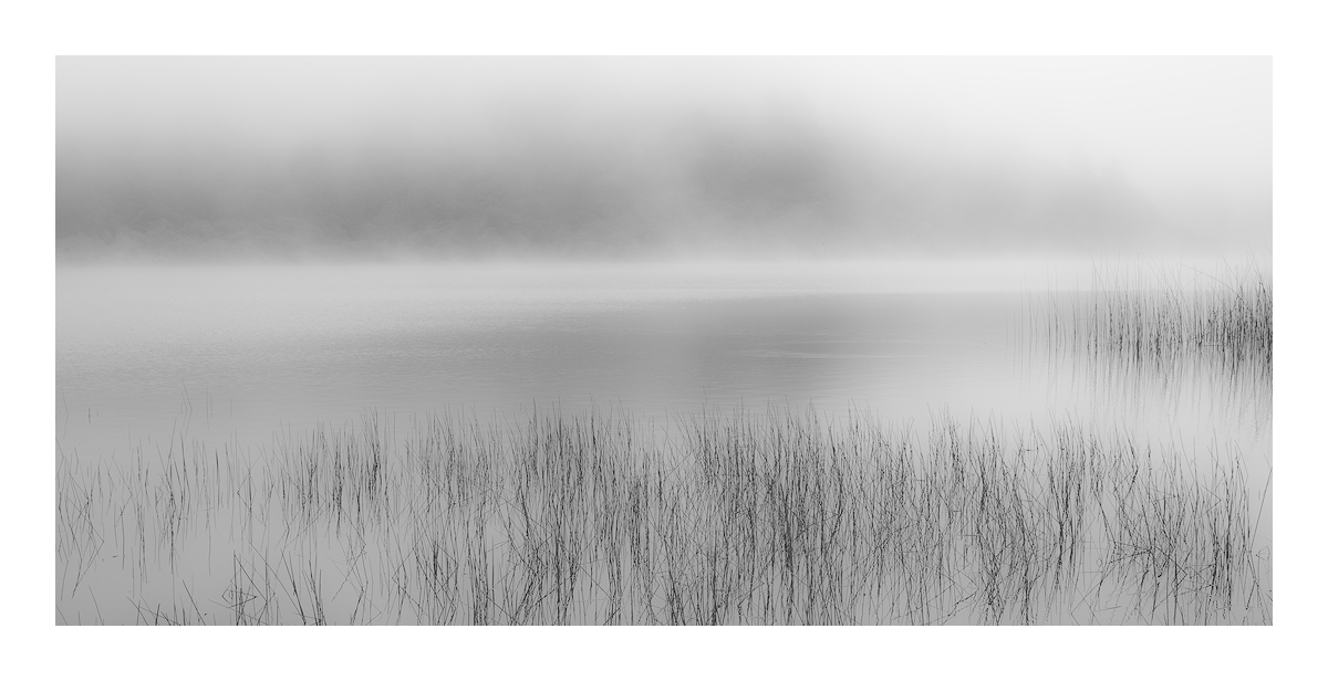 Misty Morning