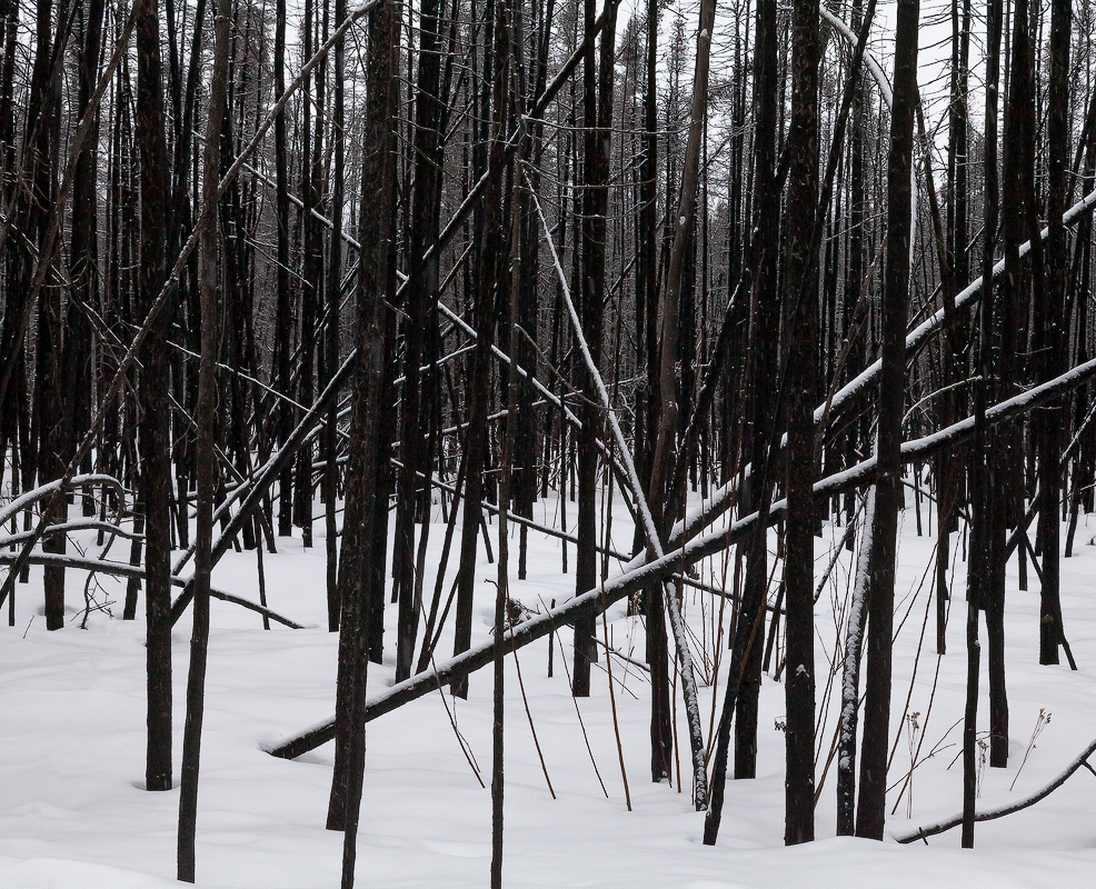 The "Burn" in Winter