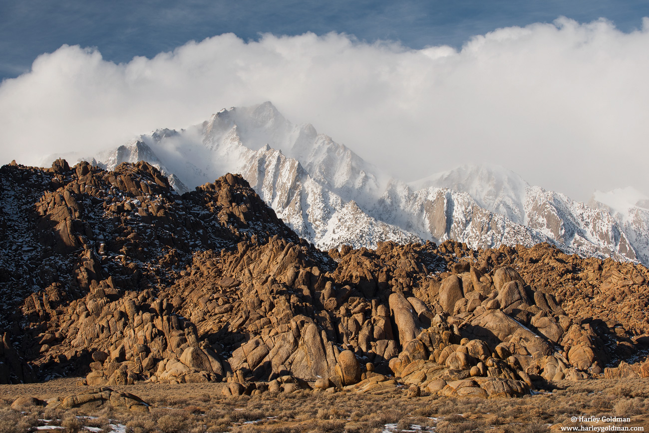Foggy Crest