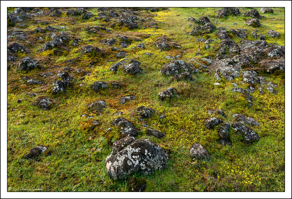 Rockscape