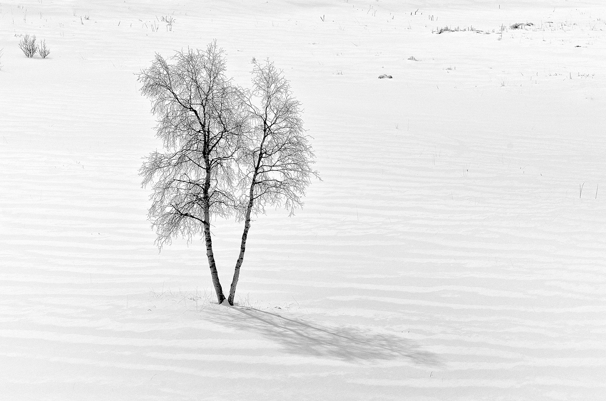 Casting Shadow