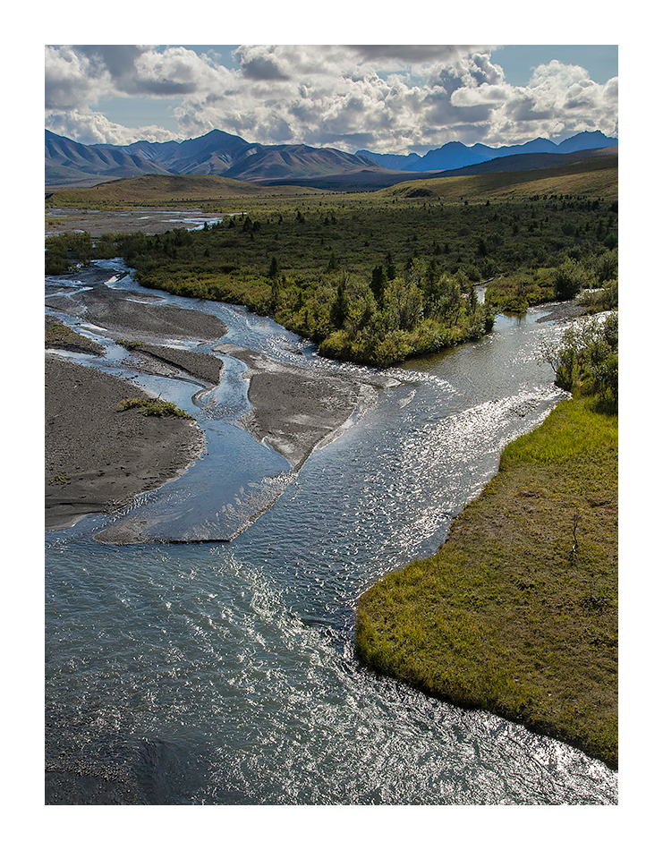 Savage River +2rp