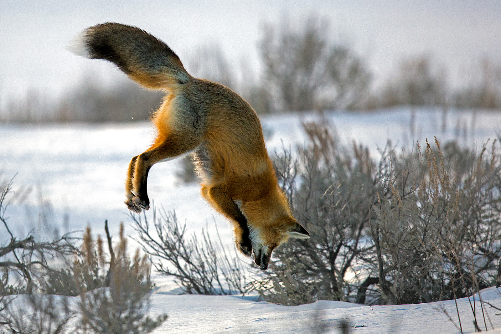 Air Attack
