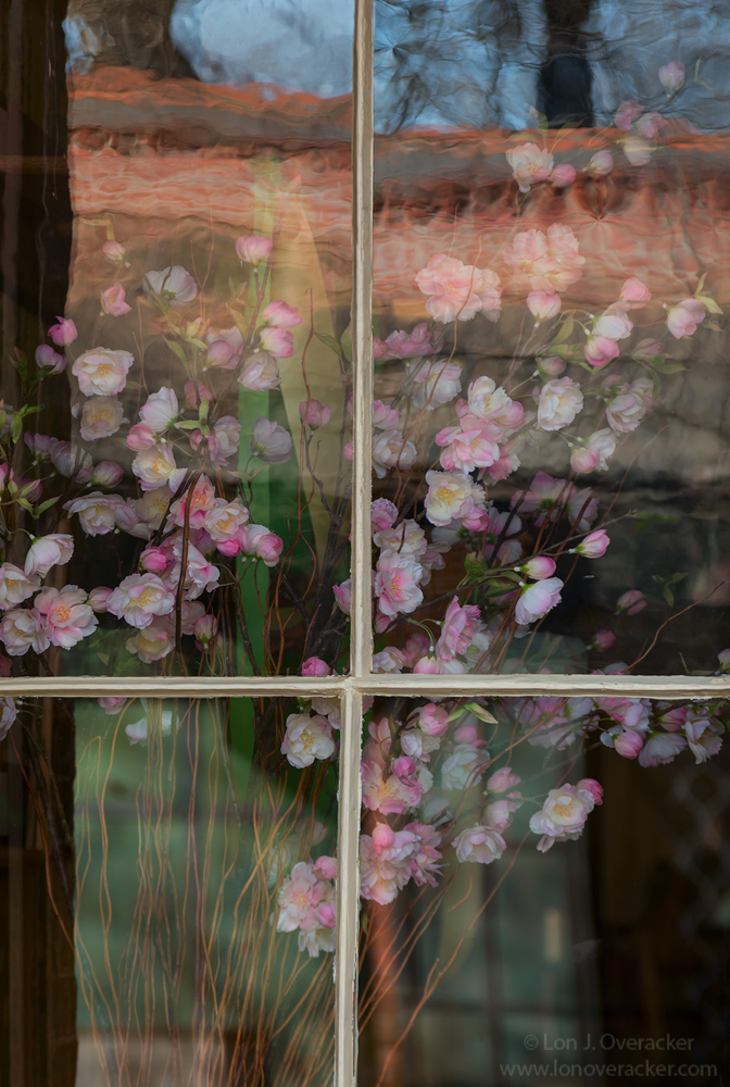 Window Dressing