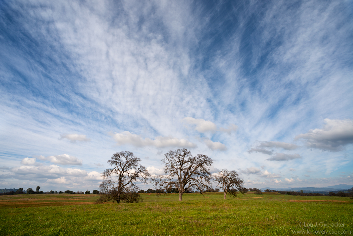 California Dreamin' +pano