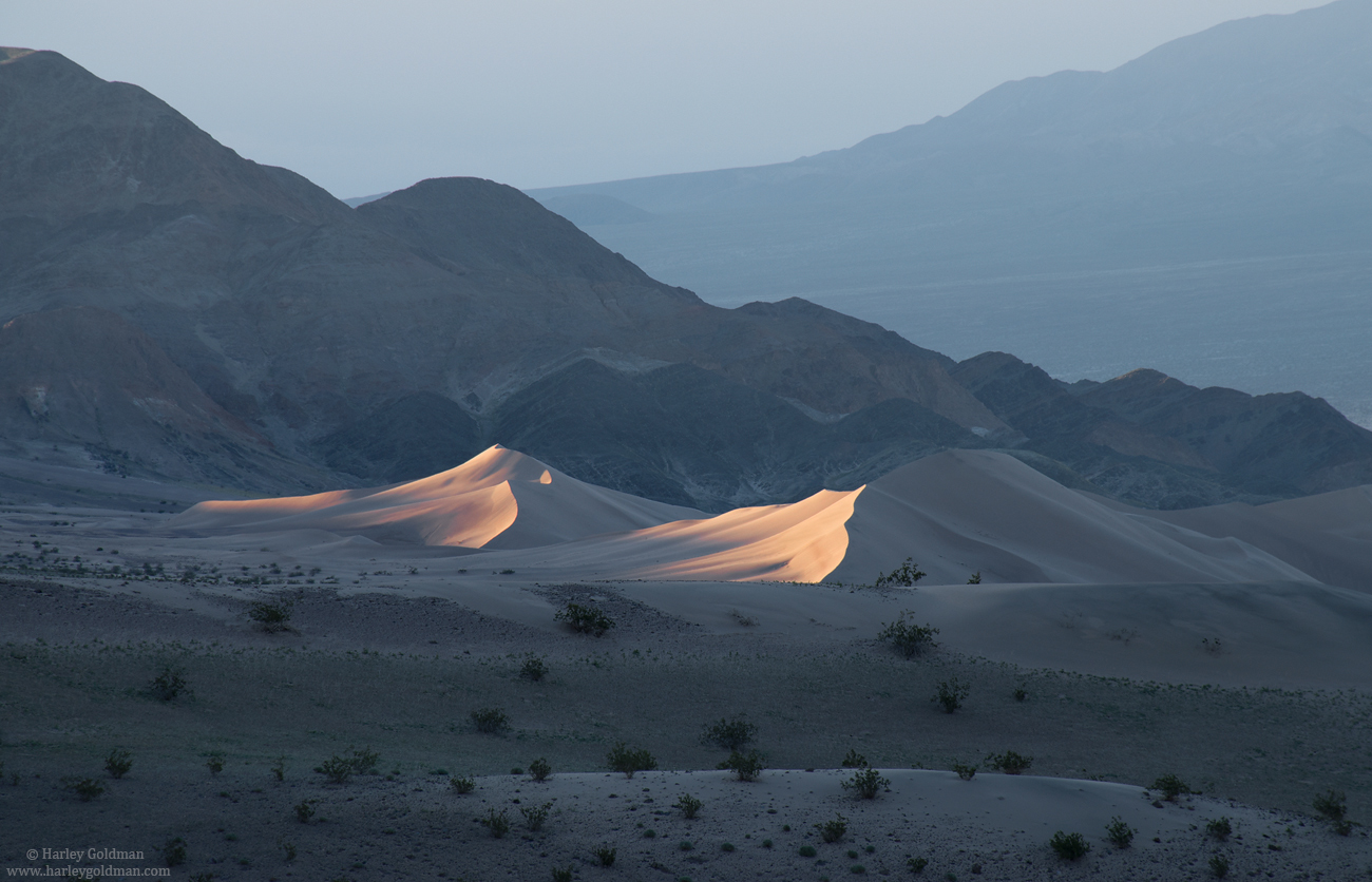 Dune Glow