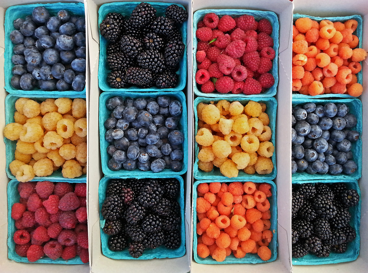 Berries