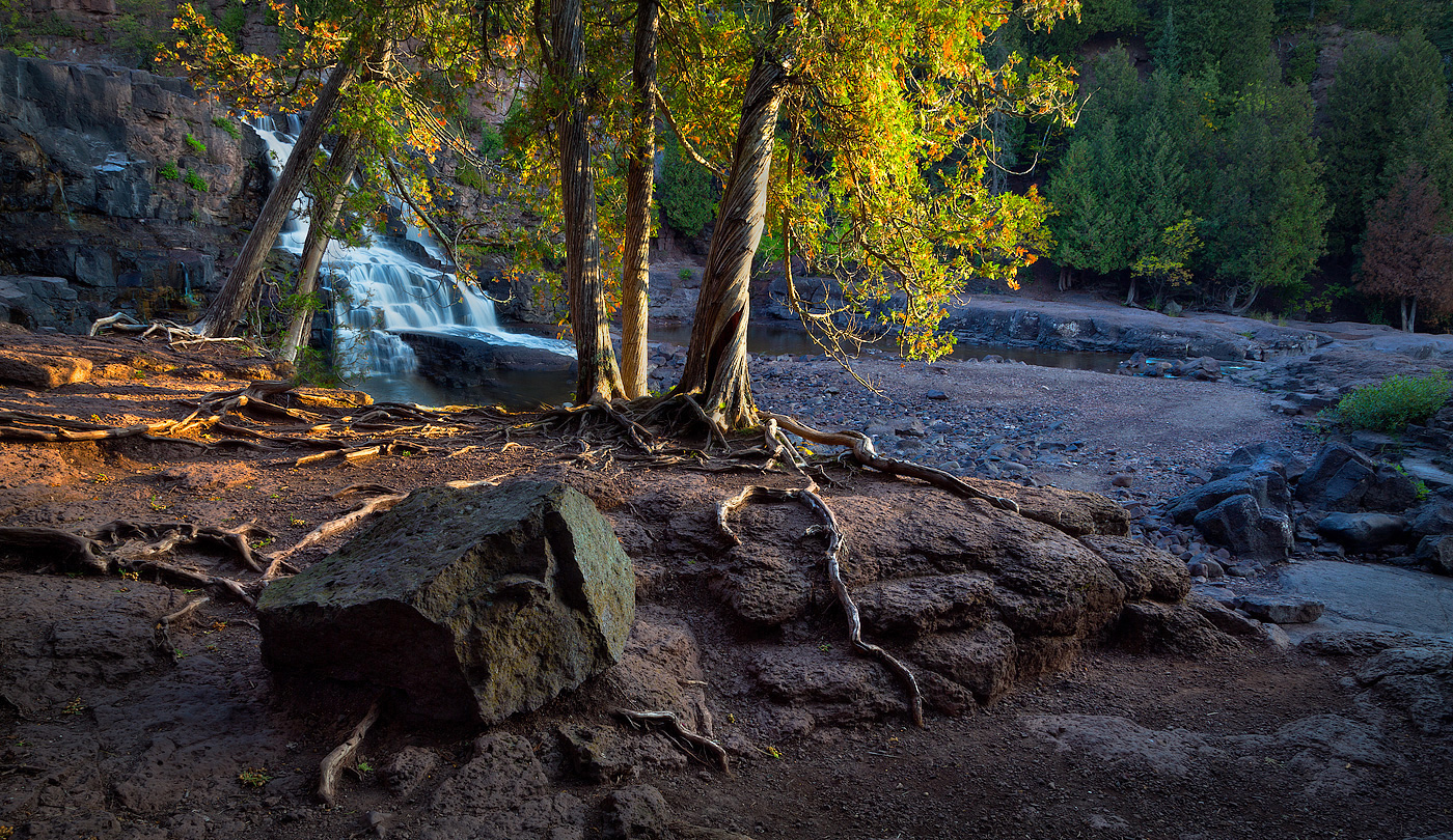 Twisted Cedars + crop