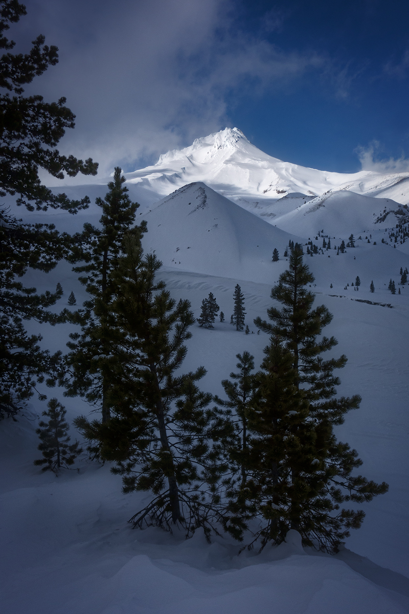 Winter Contentment