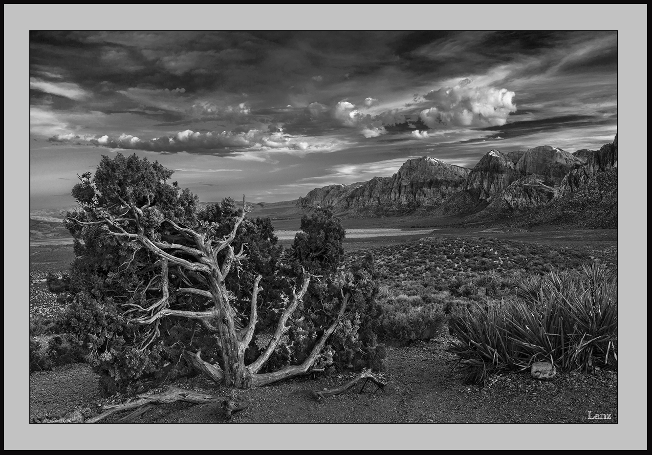 Red Rock in B&W