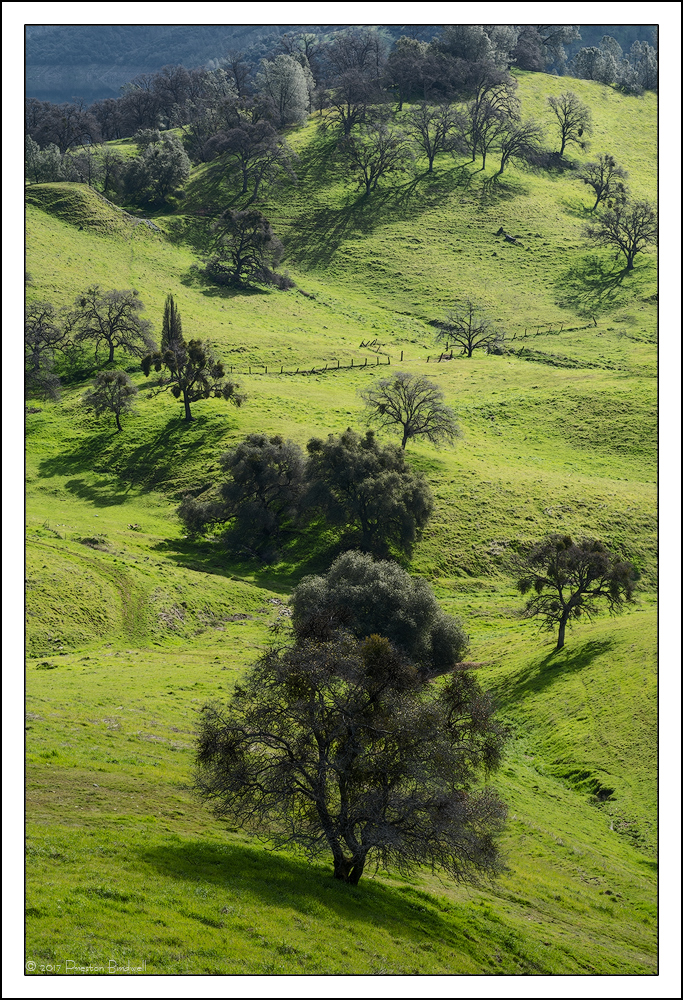 Hills of Green