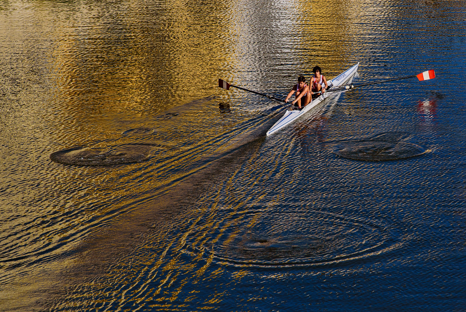 Scull on the Arno