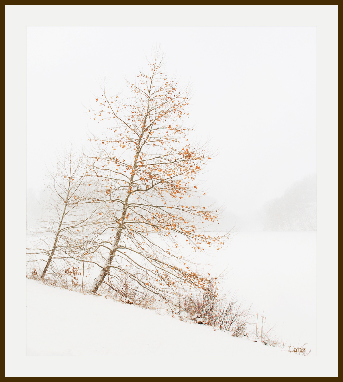 White Out (+alt)